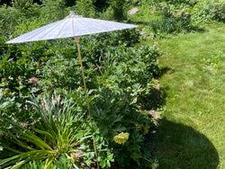 Garden Umbrella