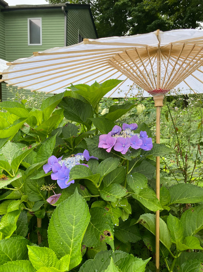 Garden Umbrella